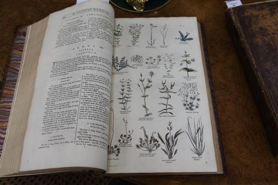 Hill, John, Sir - The British Herbal,